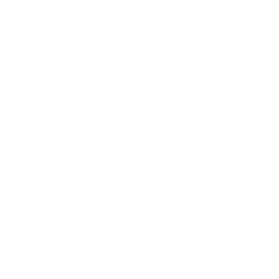 list item image