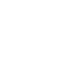 list item image
